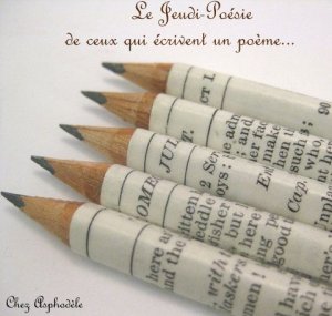 écrire-crayons-de-bois-image-du-hufftington-post1